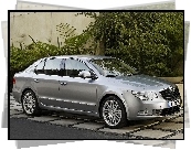 Srebrna, Skoda Superb, Prawy, Bok