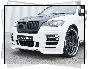 X6, Hamann