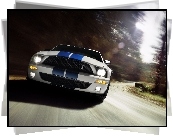 Shelby, Ford Mustang