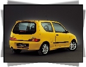 Fiat Seicento, Sporting