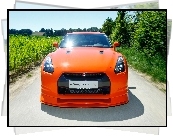 Nissan GT-R Konigseder, Maska