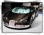 Bugatti Veyron, Karbon