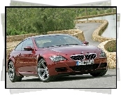 Bordowa, BMW 6, E63