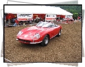 Ferrari 275, Warsztat