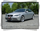 BMW 5, Srebrny, E60, Plac, Drzewa