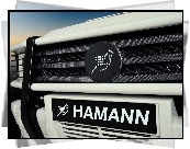 Logo, Hamann, Karbon