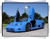 Bugatti EB 110, Uniesione, Drzwi