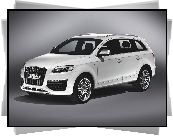 Audi Q7, Relingi, Dachowe