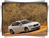 BMW 750Li F01