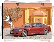 BMW 6, Biały Koń