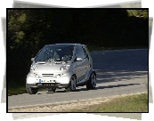 Srebrne Fortwo