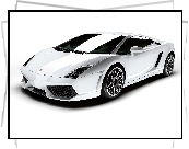 Białe, Lamborghini Gallardo, Maska