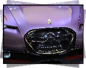 Citroen Revolte, Grill