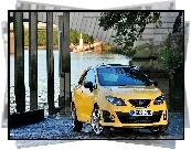 Seat Ibiza Cupra