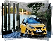 Seat Ibiza Cupra