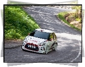 Citroen DS3, Rajd