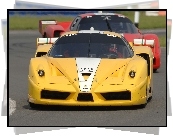 Żółte, Ferrari FXX, Wyścig