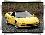 NSX TARGA