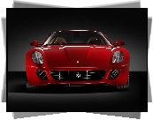 Przód, Ferrari 599, Grill