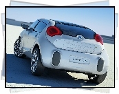 Citroen C-Cactus, Lampy, Tył