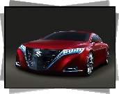 Suzuki, Concept