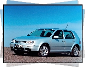 Volkswagen Golf 4, Srebrny