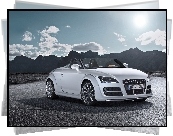 Audi TT, Roadster, Cabrio