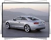 Audi A5, Coupe, Wydech