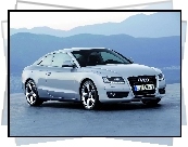 Audi A5, Halogeny, Alufelgi