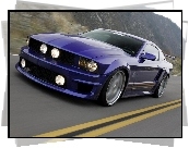 Ford Mustang, Pakiet, Shelby