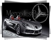 Mercedes SLR Stirling Moss