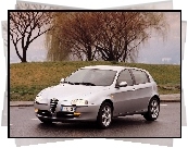 Alfa Romeo 147, Wierzba