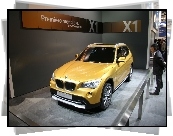 Wystawa, BMW X1