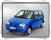 Niebieski, Fiat Seicento, Hatchback