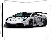 Lamborghini Gallardo, Pirelli