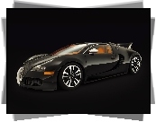 Bugatti Veyron Sang Noir