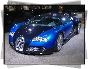 Błękitny, Veyron, Wystawa