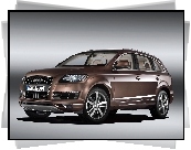 Audi Q7, Wielki, Grill