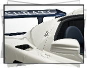 Maserati MC12, Lusterko