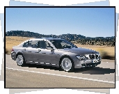 BMW 7, Srebrne, E65, Droga