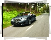 Bentley Continental GTC, Droga