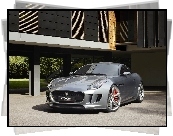 Jaguar C-X16, Concept