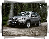 Bmw X5, E70, Las