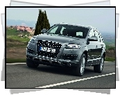 Audi Q7, Reflektory, Ksenonowe