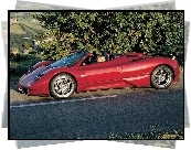 Pagani Zonda, Kabriolet