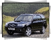 SUV, Subaru Forester, 4x4