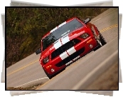 Shelby, Ford Mustang, Super