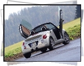 Daihatsu Copen, Drzwi, Otwierane, Do, Góry