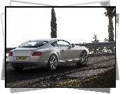 Bentley Continental GT, Przetłoczenia, Boczne