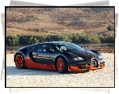 Bugatti Veyron Super Sport, Rzeka, Drzewa, Zbocze